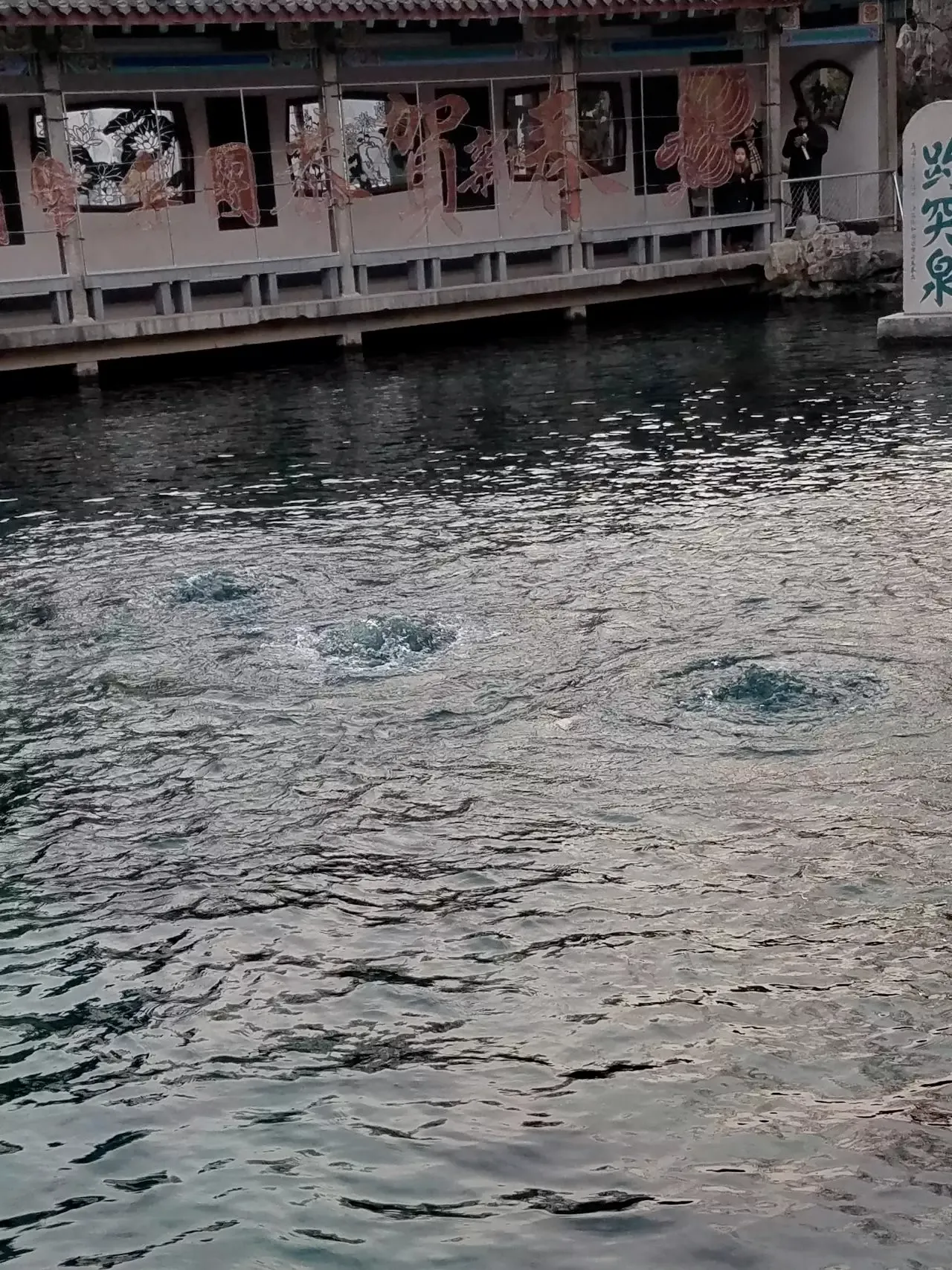 不是很突的趵突泉