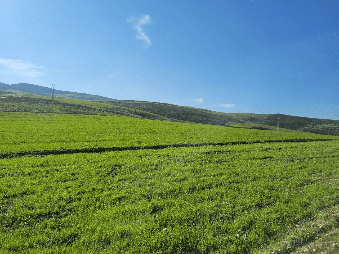 image-20230120213503225